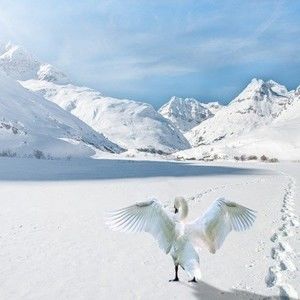 Meet your Posher, Charles